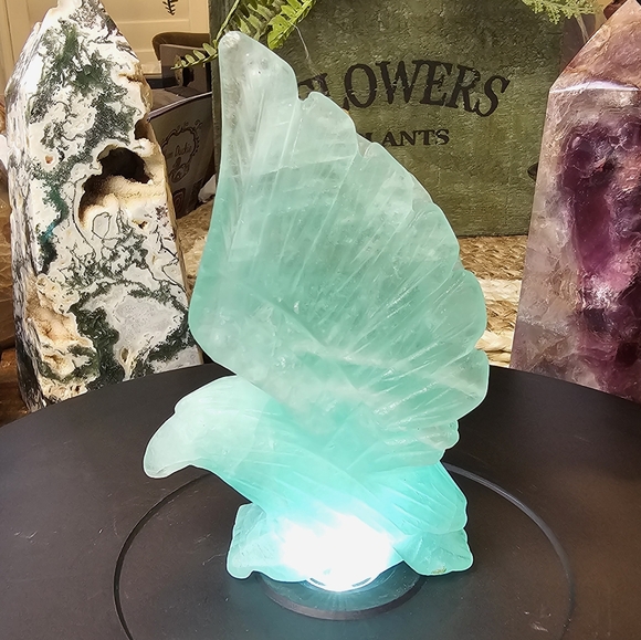 Blue/Tiffany Natural Flourite Carved Eagle - Picture 7 of 7